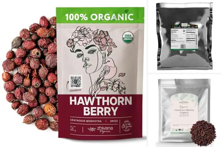 Detailed view of Best 100% Organic Hawthorn Berries