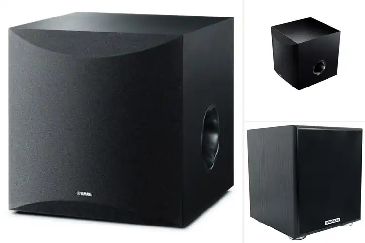 Detailed view of Best 100W Subwoofer