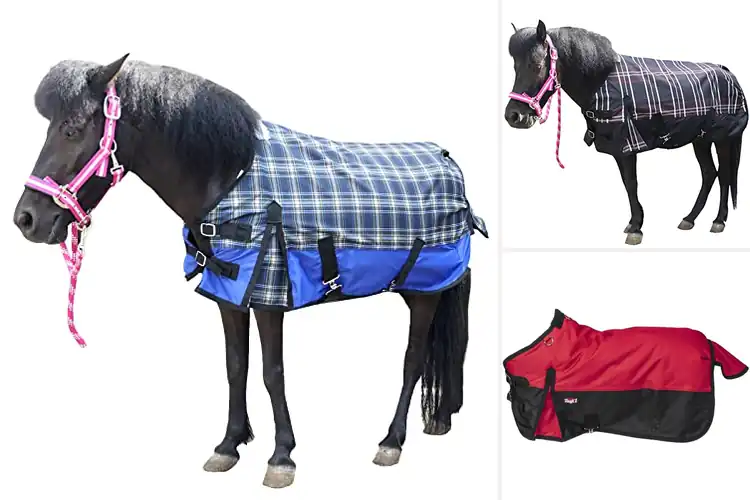 Detailed view of Best 600D Ripstop Mini Horse Blanket