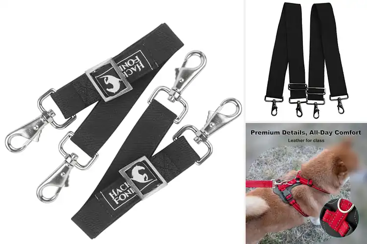Detailed view of Best Adjustable Front Buckle Straps And Belly Straps