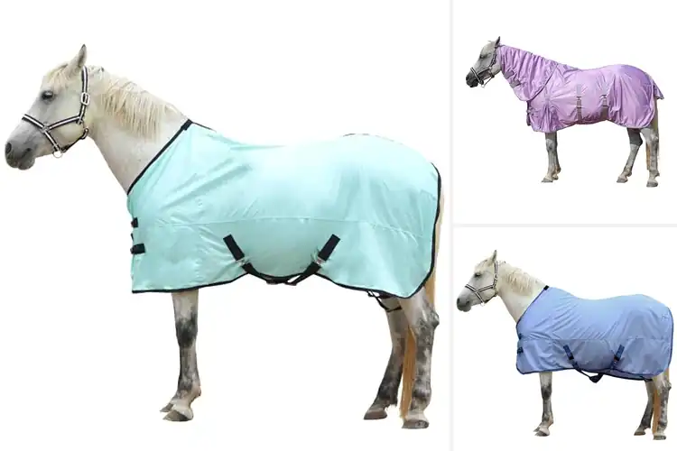 Detailed view of Best Adjustable Horse Sheets