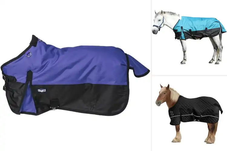 Detailed view of Best Adjustable Mini Pony Blankets: Top Picks for Comfort