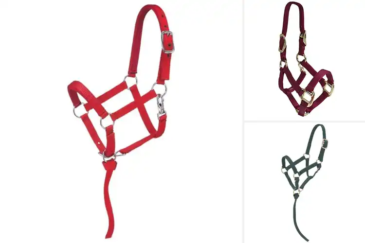 Detailed view of Best Adjustable Miniature Horse Gear