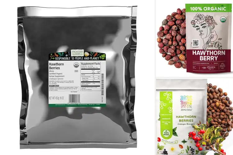 Detailed view of Best Antioxidant Hawthorn Berries Whole Dried
