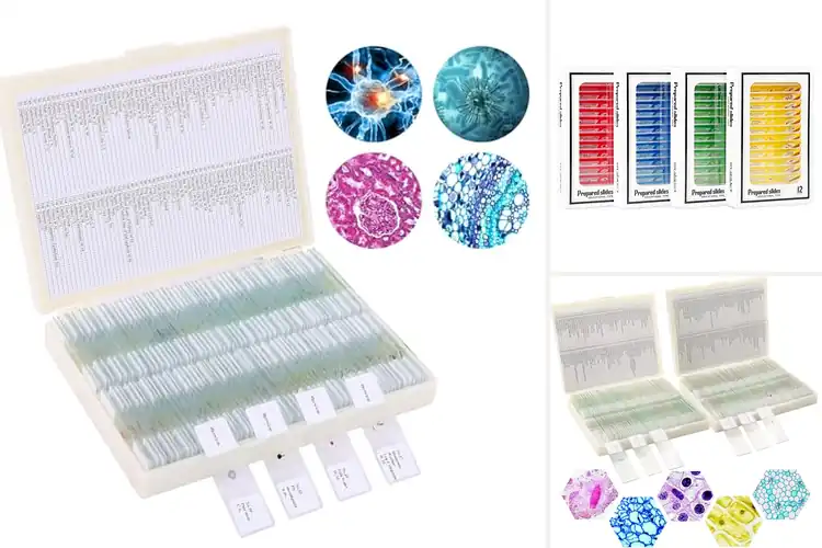 Detailed view of Best Biological Slides