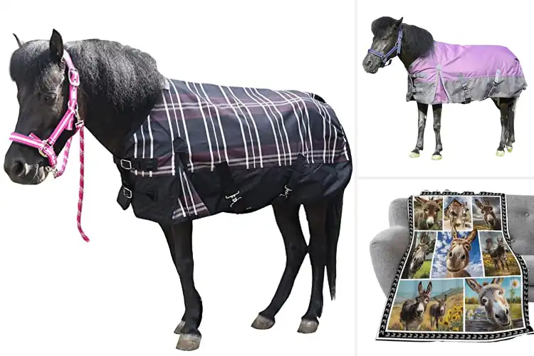 Detailed view of Best Breathable Donkey Blankets for Comfort & Calm