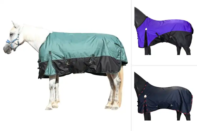 Detailed view of Best Breathable Horse Blankets