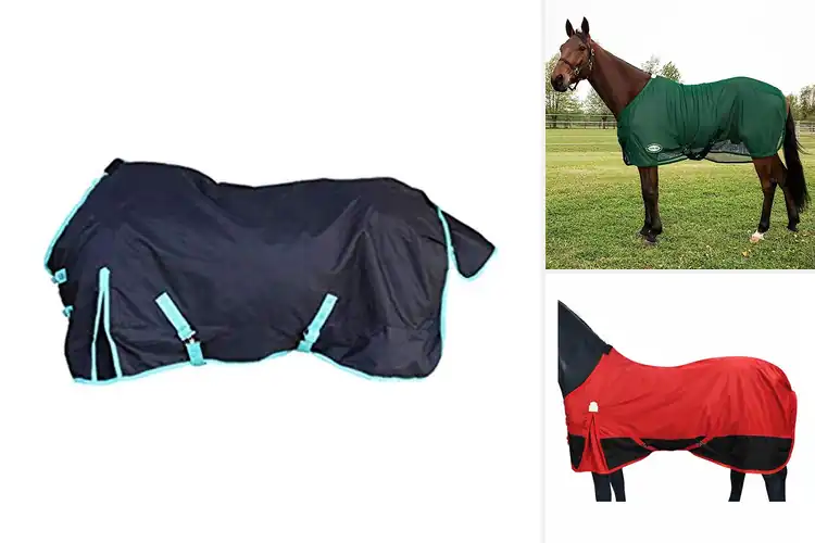 Detailed view of Best Breathable Horse Sheets