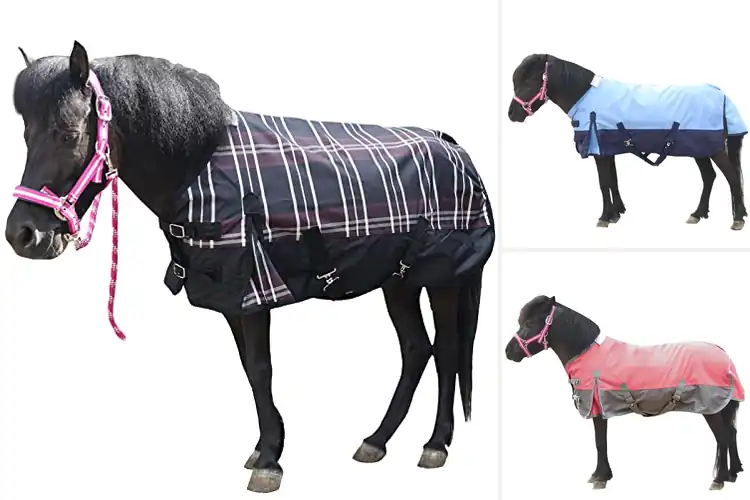 Detailed view of Best Breathable Mini Horse Blankets