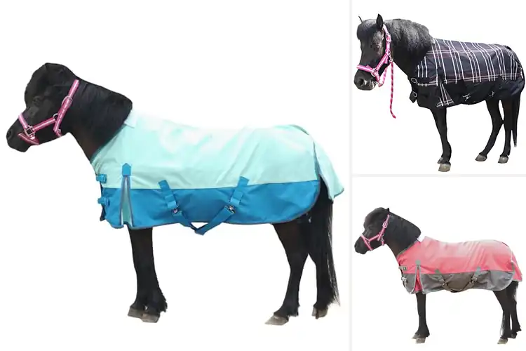 Detailed view of Best Breathable Mini Horse Turnout Sheet