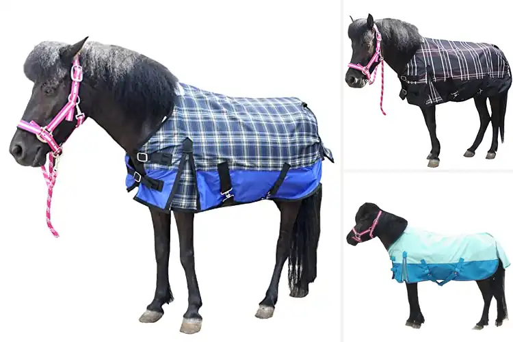 Detailed view of Best Breathable Mini Turnout Sheets