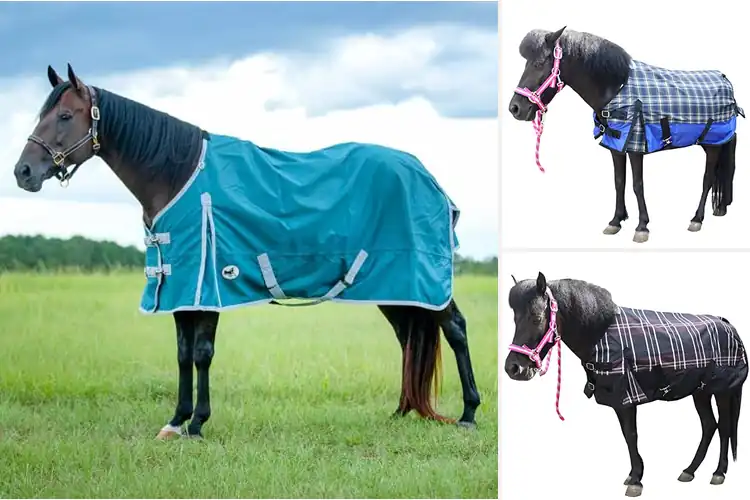 Detailed view of Best Breathable Pony Rain Sheets for Ultimate Comfort