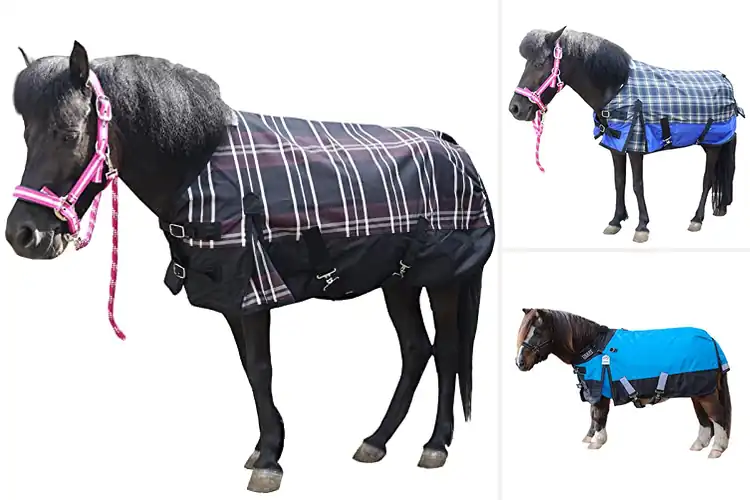 Detailed view of Best Breathable Rain Sheet For Minis