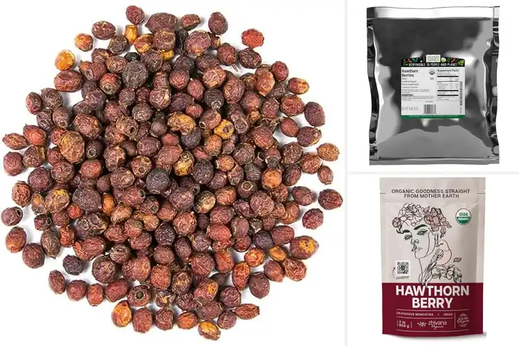 Detailed view of Best Bulk Organic Hawthorn Berries