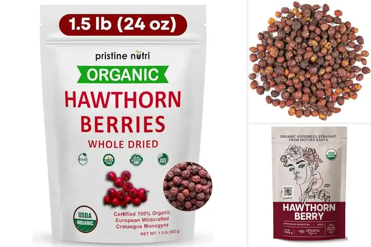 Detailed view of Best Bulk Organic Hawthorn Berries Superfood