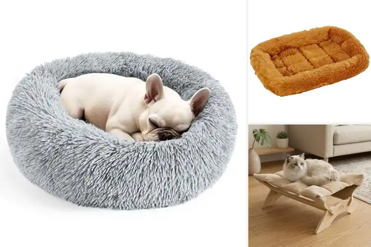 Detailed view of Best Cat Beds