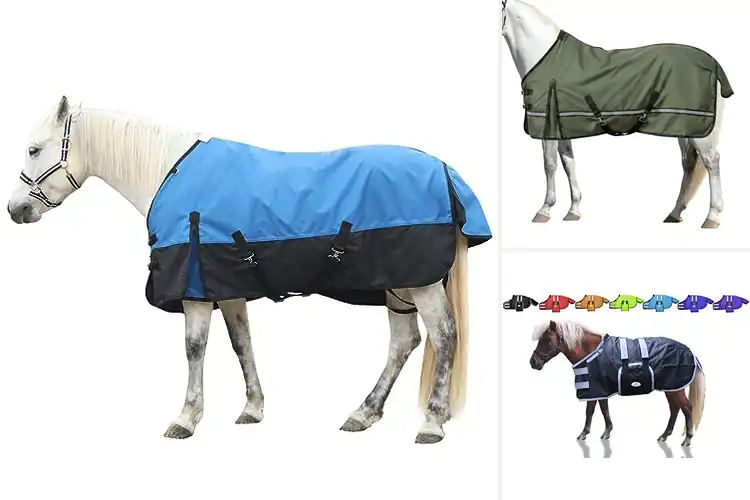 Detailed view of Best Comfortable Horse Blanket Linings