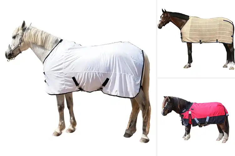 Detailed view of Best Comfortable Horse Linings