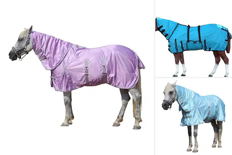 Detailed view of Best Comfortable Horse Sheets