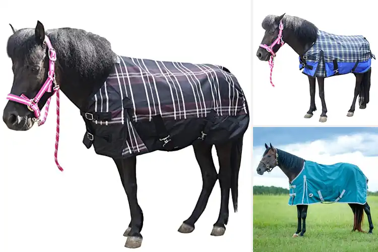 Detailed view of Best Comfortable Pony Rain Sheets