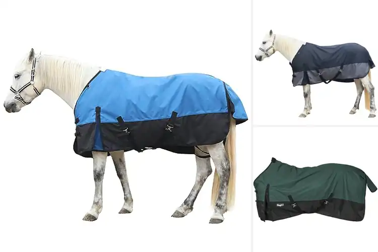 Detailed view of Best Comfortable Turnout Sheets