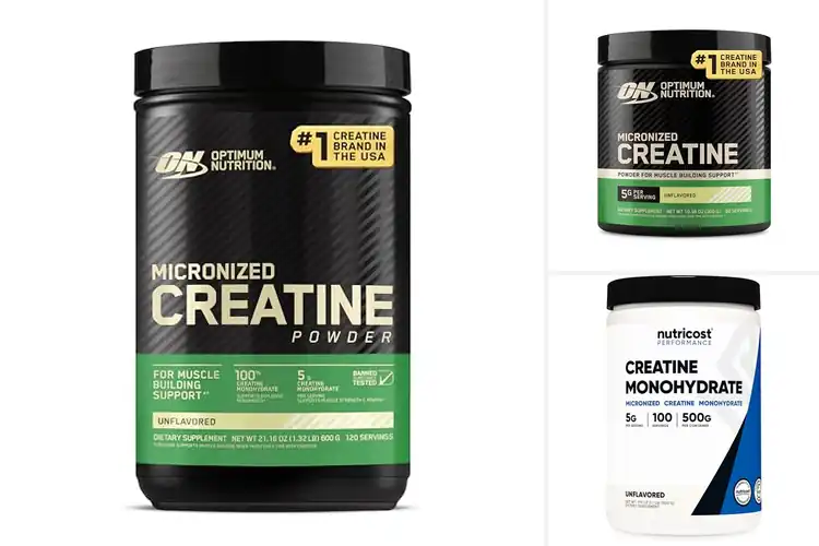 Detailed view of Best Creatine Monohydrate Powders