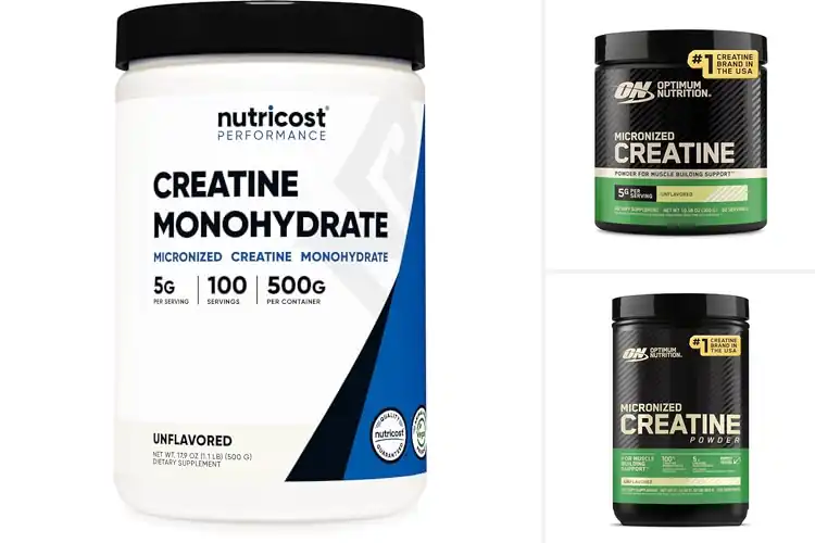 Detailed view of Best Creatine Powders For Endurance