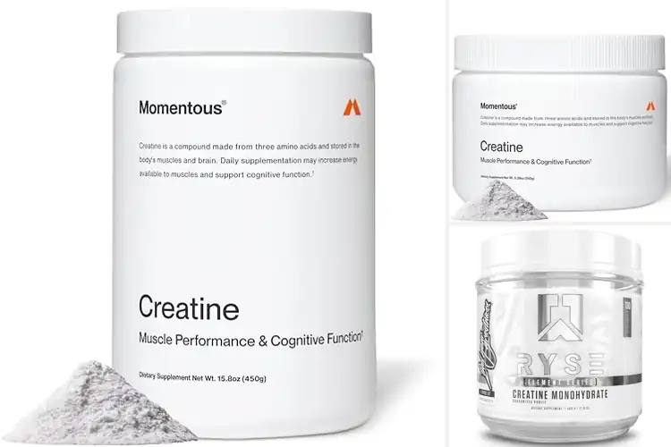 Detailed view of Best Creatine Powders For Lean Muscle