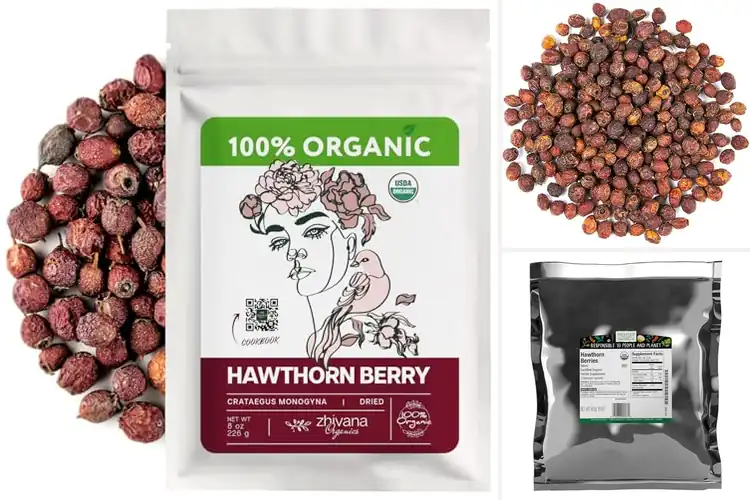 Detailed view of Best Culinary Hawthorn Berries