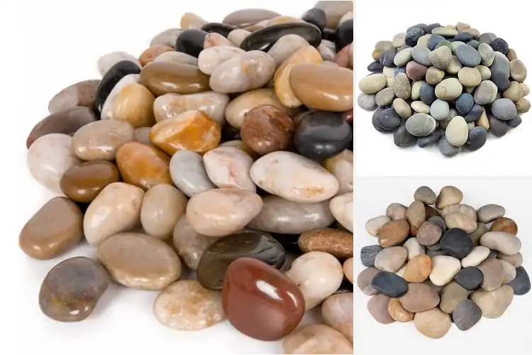 Detailed view of Best Decorative Rocks For Landscaping