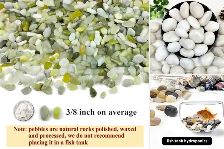 Detailed view of Best Decorative Stones For Indoor Plants