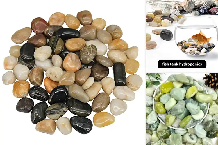 Detailed view of Best Decorative Stones: Top 10 Picks to Elevate Your Space