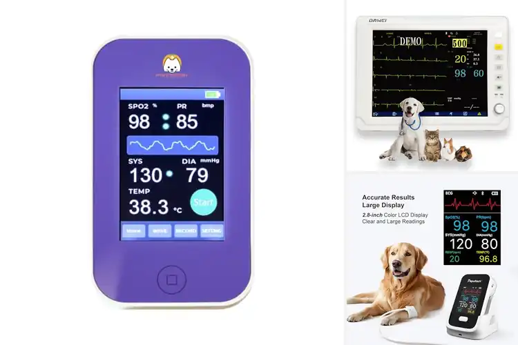 Detailed view of Best Dog Vital Signs Monitors