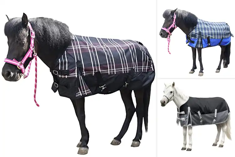 Detailed view of Best Donkey Rain Sheets: Top Picks for Dry, Happy Donkeys