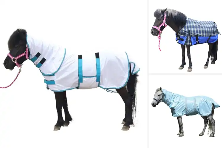 Detailed view of Best Donkey Turnout Sheets for Comfort & Durability