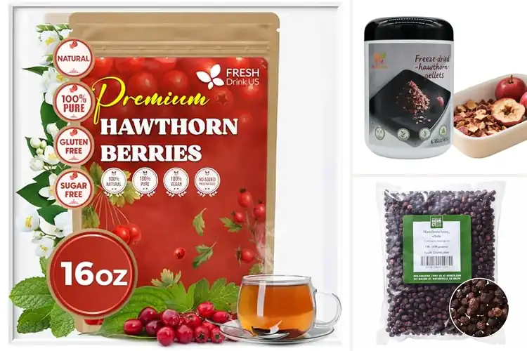 Detailed view of Best Dried Hawthorn Berries For Baking And Desserts
