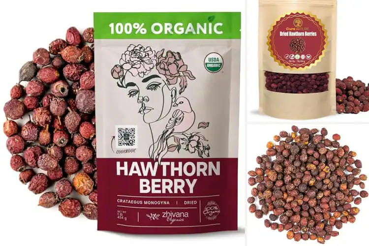 Detailed view of Best Dried Hawthorn Berries For Blood Pressure