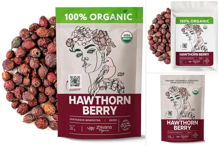 Detailed view of Best Dried Hawthorn Berries For Tea