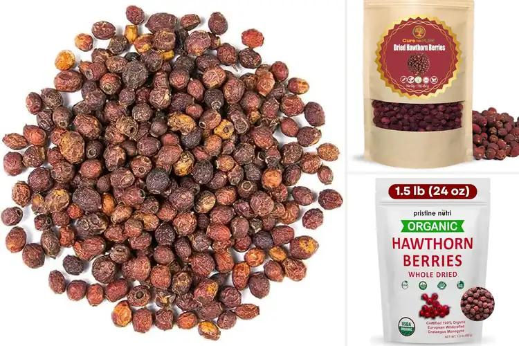 Detailed view of Best Dried Hawthorn Berries Superfoods