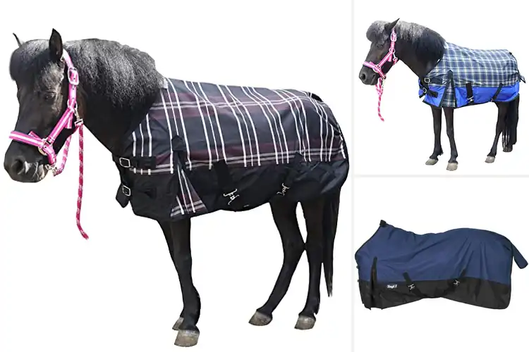Detailed view of Best Durable Donkey Turnout Sheets