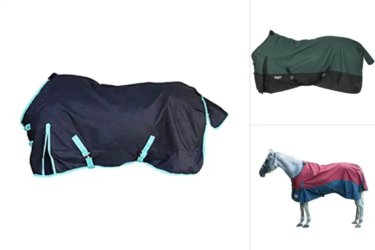 Detailed view of Best Durable Horse Rain Sheets
