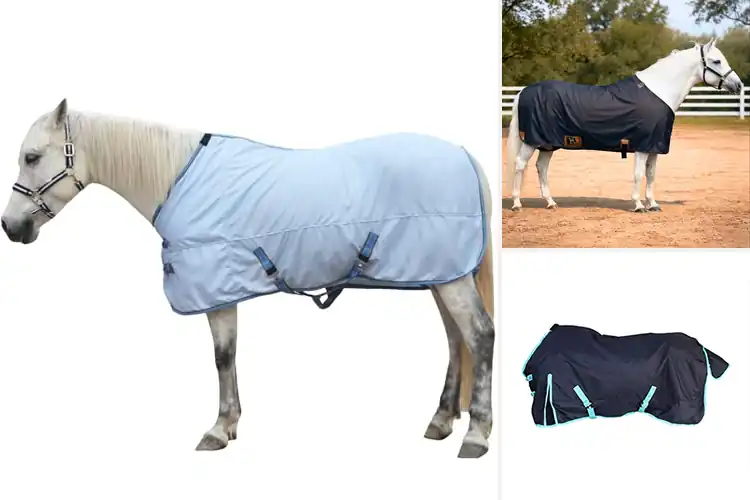 Detailed view of Best Durable Horse Sheets