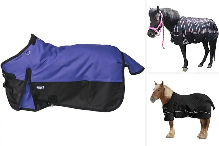 Detailed view of Best Durable Mini Horse Blankets