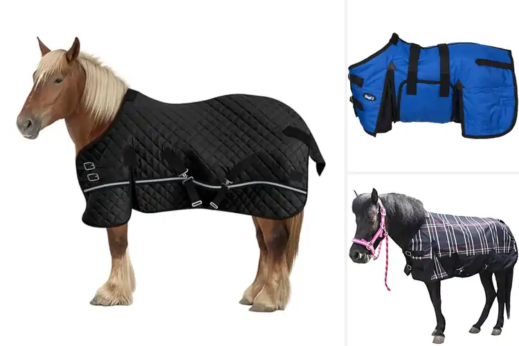 Detailed view of Best Durable Miniature Horse Blankets