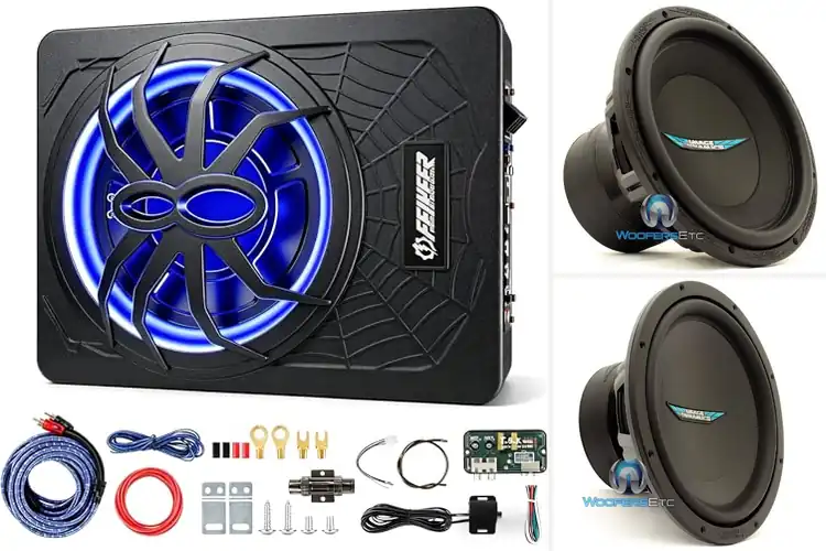 Detailed view of Best Dynamic Subwoofers