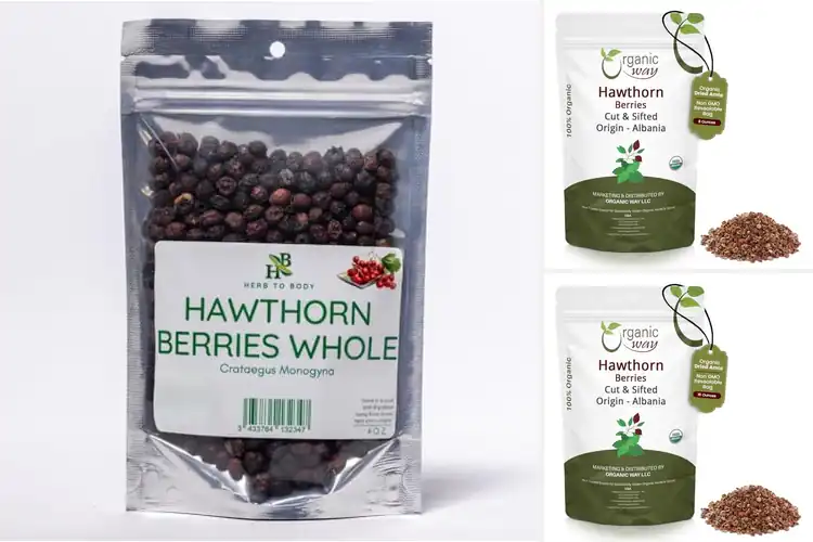 Detailed view of Best European Wildcrafted Hawthorn Berries