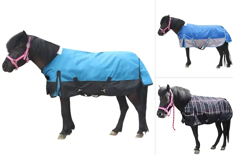 Detailed view of Best Gallopoff Mini Horse Blanket
