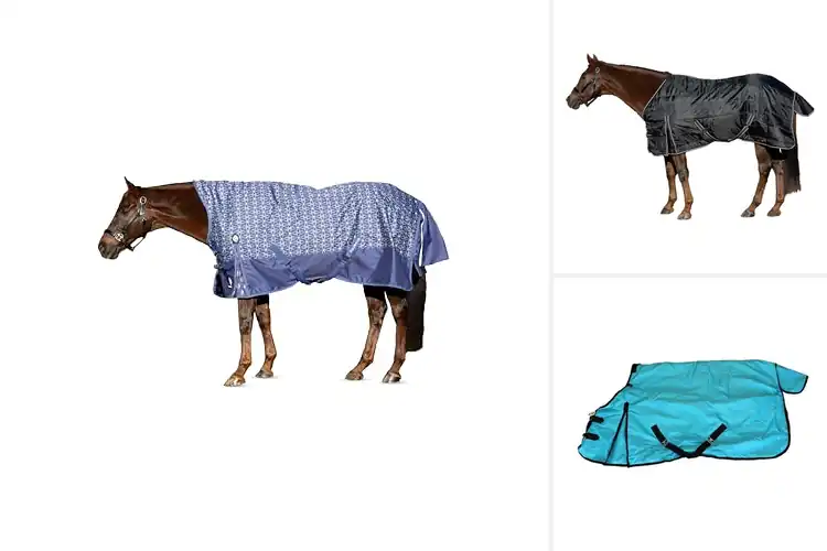 Detailed view of Best Gusseted Shoulder Blankets