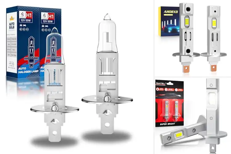 Detailed view of Best H1 Bulbs: Upgrade Your Night Drive with Top Picks