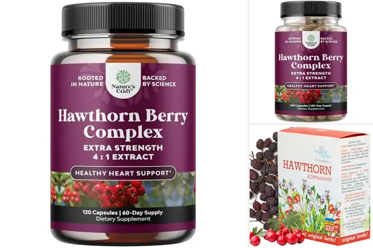Detailed view of Best Hawthorn Berries Antioxidant Rich